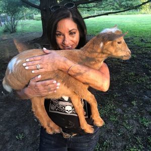 Meet your Posher, Donna